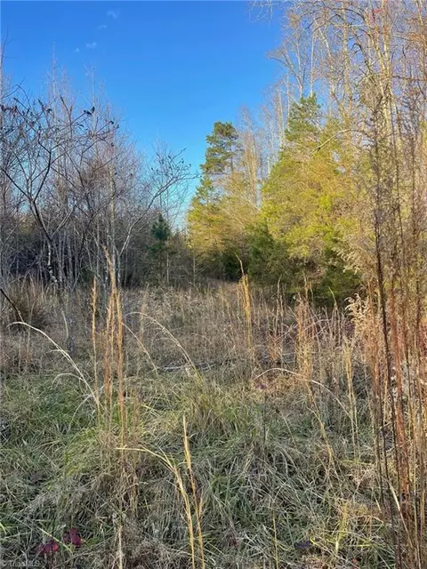 002 Forest Dr, State Road, NC 28676 photo 30