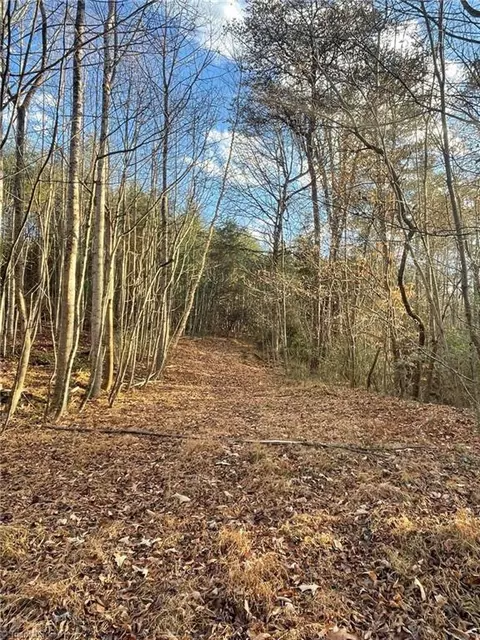 002 Forest Dr, State Road, NC 28676 photo 29