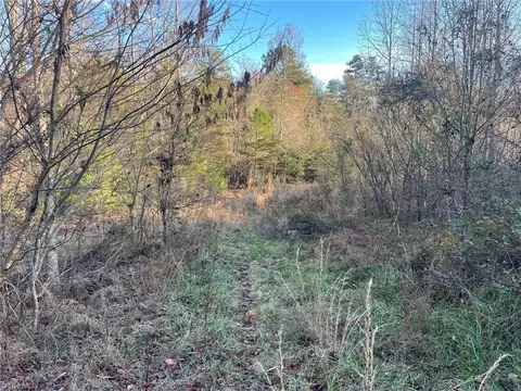 002 Forest Dr, State Road, NC 28676 photo 24