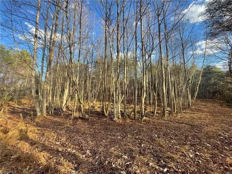 002 Forest Dr, State Road, NC 28676 photo 26