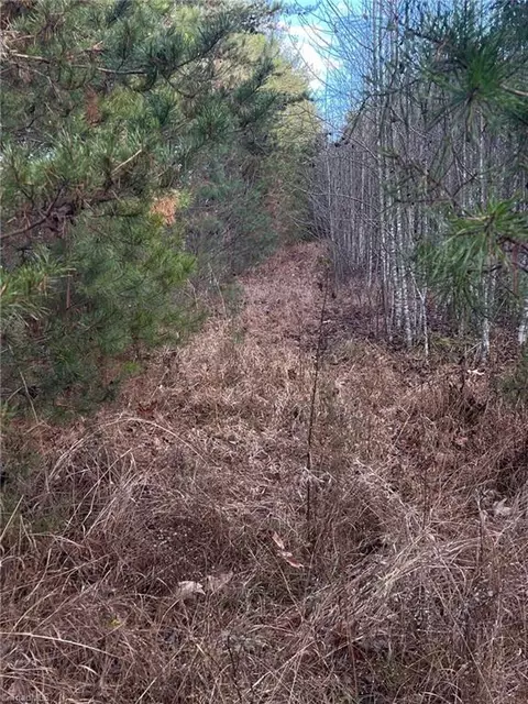 002 Forest Dr, State Road, NC 28676 photo 33