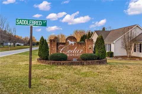 450 Saddlebred Loop, Stokesdale, NC 27357 photo 42
