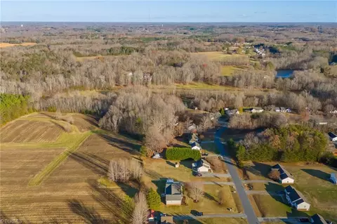 450 Saddlebred Loop, Stokesdale, NC 27357 photo 39