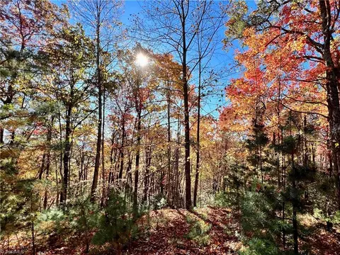 350 Deer Track Ln, Purlear, NC 28665 photo 22