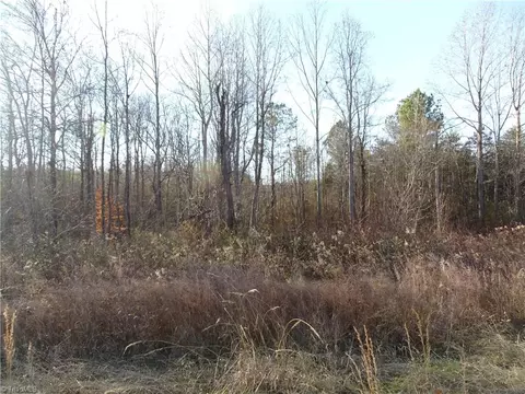 0 Kelly Coltrane Dr, Randleman, NC 27317
