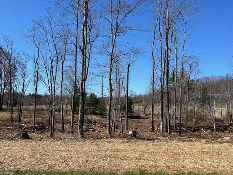 0 Absher Rd, Traphill, NC 28685 photo 2
