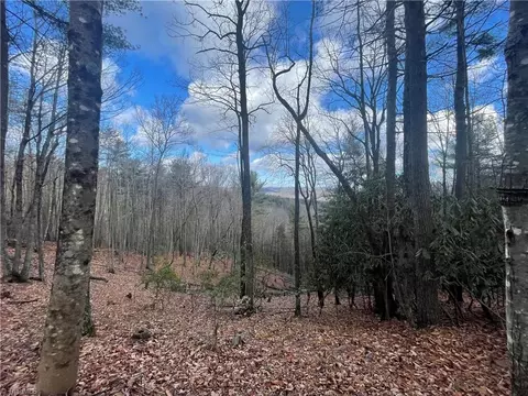 Lot 34 Doe Run, Purlear, NC 28665 photo 11