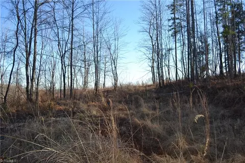 15 Acres Nc Highway 770, Stoneville, NC 27048