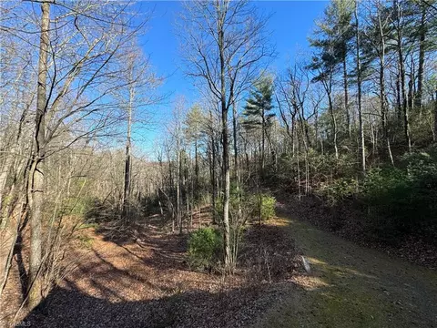 203 Eagle Nest Rd, Purlear, NC 28665 photo 23