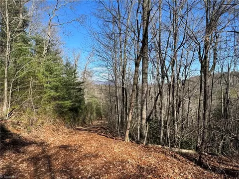203 Eagle Nest Rd, Purlear, NC 28665 photo 25