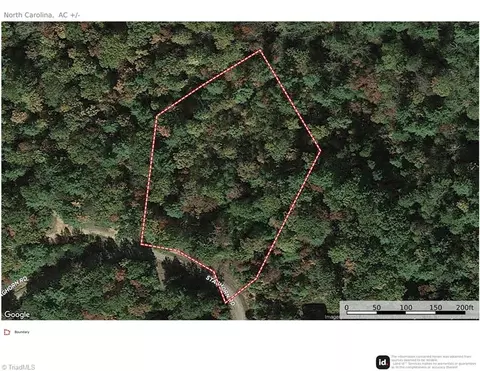 160 Staghorn Road, Purlear, NC 28665 photo 3