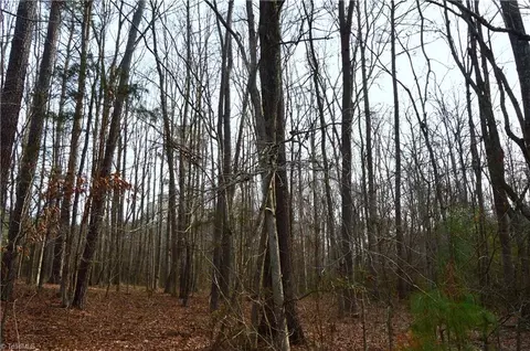 0 Dover St, Star, NC 27356 photo 7