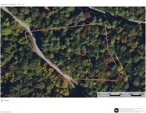 86 Deer Antler Road, Purlear, NC 28665 photo 3
