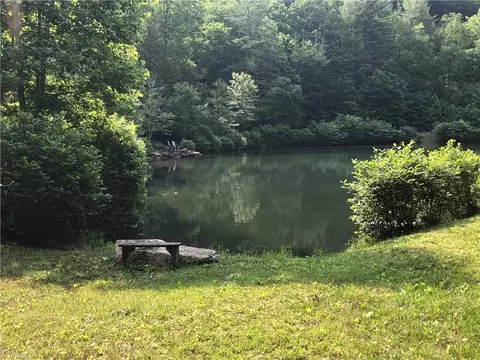 Lot 43 White Tail Trail, Purlear, NC 28665 photo 24
