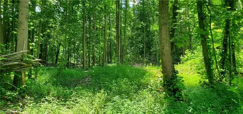 400 Mathis Mill Rd, Roaring River, NC 28669 photo 6