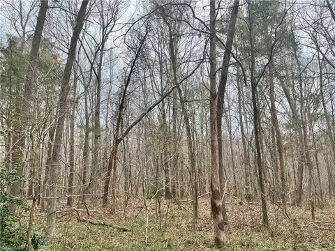 0 Pineview Rd, Goldston, NC 27252