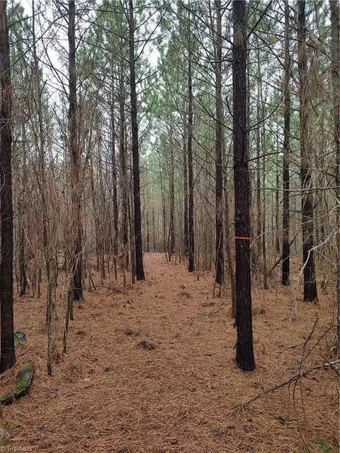 0 Hw Phillips Rd, Lexington, NC 27295