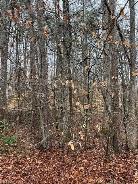 6115 Riverview Dr, Gibsonville, NC 27249
