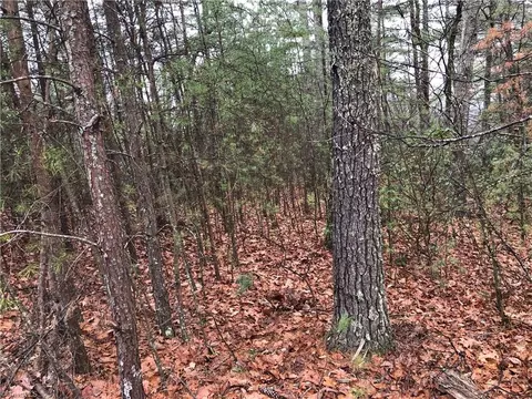 56 Deer Run, Purlear, NC 28665 photo 6