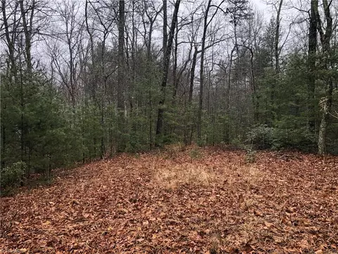 56 Deer Run, Purlear, NC 28665 photo 5