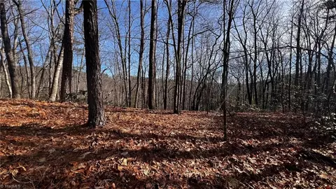 Tbd Gowings Knob Road, Mcgrady, NC 28649