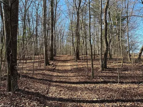 000 Mount Pleasant Church Rd, State Road, NC 28676