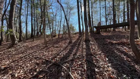 00 Devotion Rd, Thurmond, NC 28683 photo 2