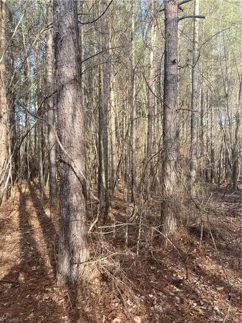 0 Curtis Powers Rd, Bennett, NC 27208 photo 23