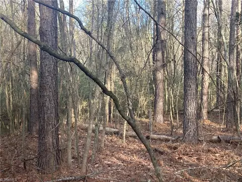 0 Curtis Powers Rd, Bennett, NC 27208 photo 30