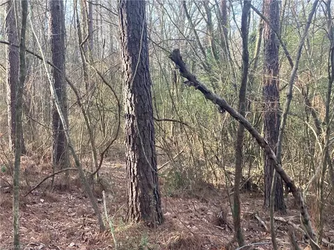 0 Curtis Powers Rd, Bennett, NC 27208 photo 31