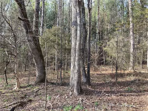 0 Curtis Powers Rd, Bennett, NC 27208 photo 2