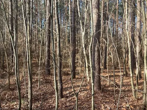 0 Curtis Powers Rd, Bennett, NC 27208 photo 20