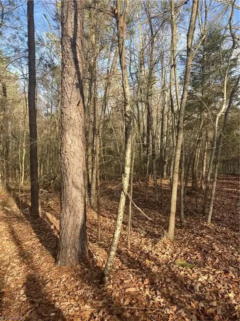 0 Curtis Powers Rd, Bennett, NC 27208 photo 19
