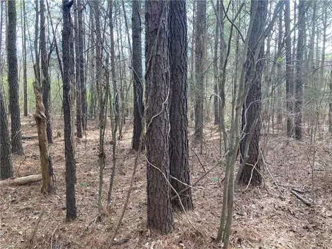 0 Curtis Powers Rd, Bennett, NC 27208 photo 11