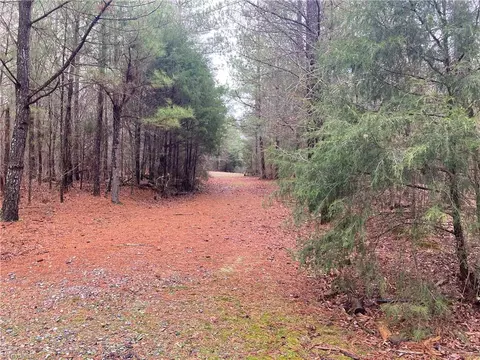 0 Curtis Powers Rd, Bennett, NC 27208 photo 4