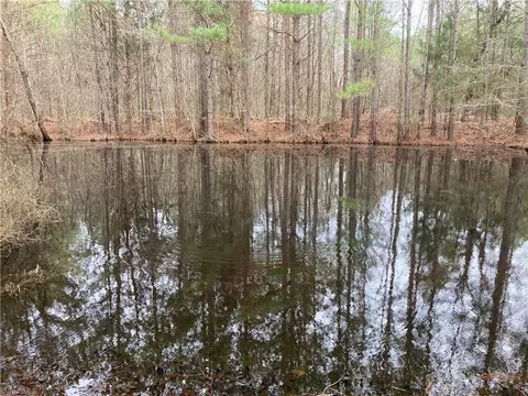 0 Curtis Powers Rd, Bennett, NC 27208 photo 7