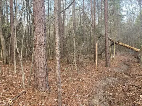 0 Curtis Powers Rd, Bennett, NC 27208 photo 13