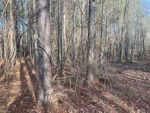 0 Curtis Powers Rd, Bennett, NC 27208 photo 29