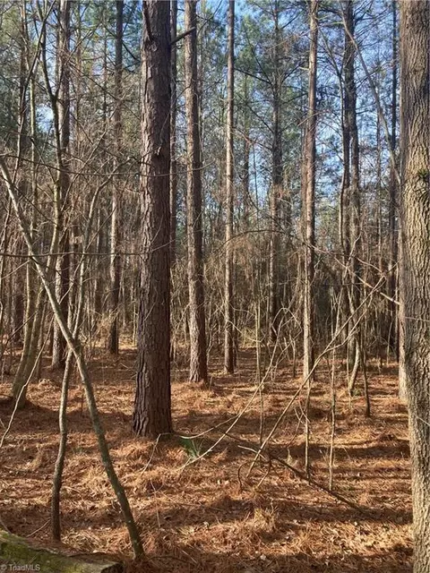 0 Curtis Powers Rd, Bennett, NC 27208 photo 27