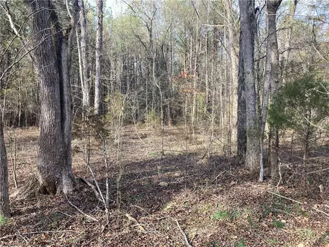 0 Curtis Powers Rd, Bennett, NC 27208 photo 10