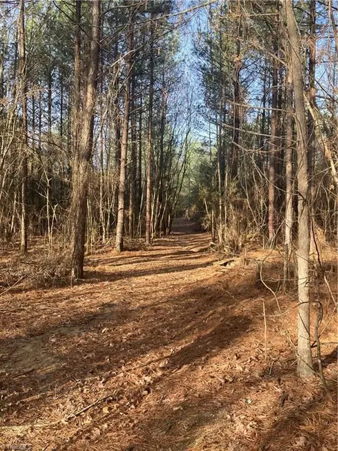 0 Curtis Powers Rd, Bennett, NC 27208 photo 26