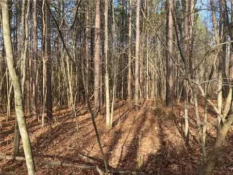 0 Curtis Powers Rd, Bennett, NC 27208 photo 22