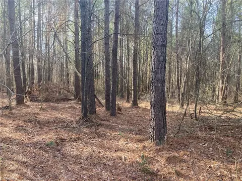 0 Curtis Powers Rd, Bennett, NC 27208 photo 12