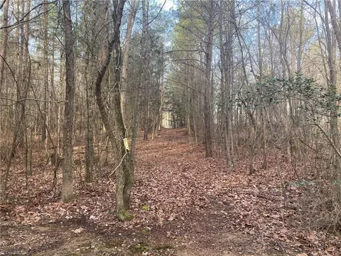 0 Curtis Powers Rd, Bennett, NC 27208 photo 14