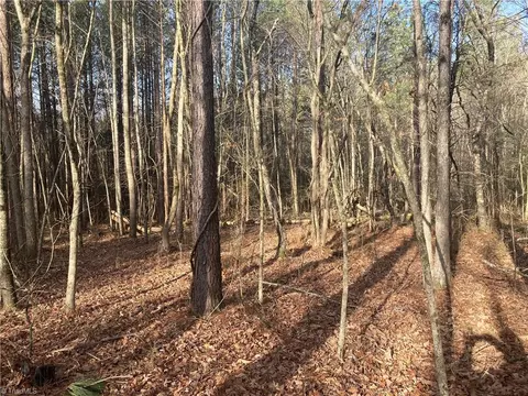 0 Curtis Powers Rd, Bennett, NC 27208 photo 18