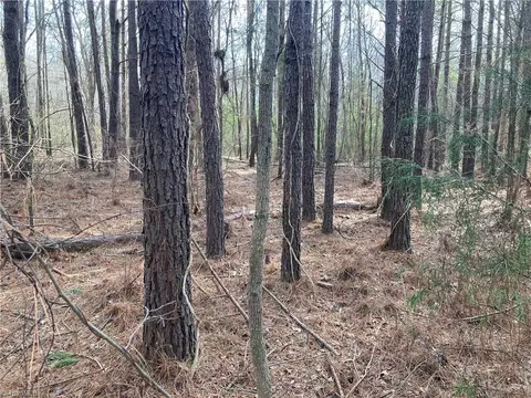 0 Curtis Powers Rd, Bennett, NC 27208 photo 9