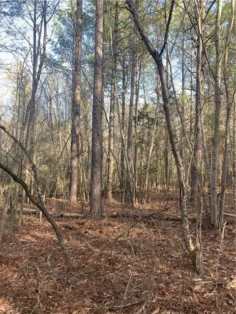0 Curtis Powers Rd, Bennett, NC 27208 photo 24