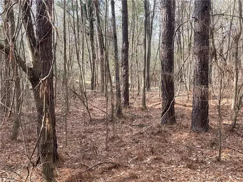 0 Curtis Powers Rd, Bennett, NC 27208 photo 8