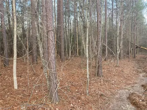 0 Curtis Powers Rd, Bennett, NC 27208 photo 15