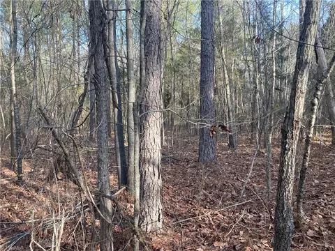 0 Curtis Powers Rd, Bennett, NC 27208 photo 25